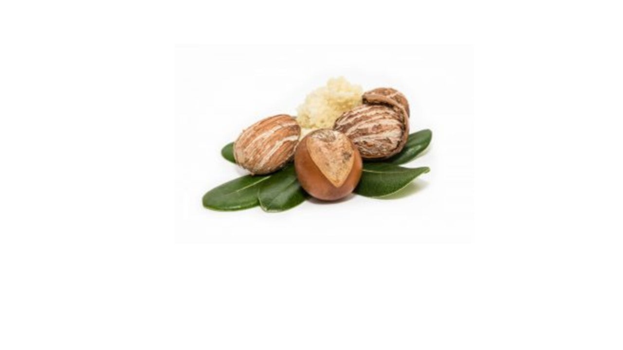 Crème BIO - Régénératrice de la PEAU